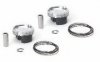 UTV - Piston Kits