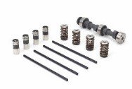 UTV -Holz Brand  RZR, RZR-S, RZR-4 Performance Cam & Valve Train Kit