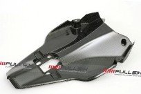 CDT - Ducati-1098 '07-'08, 1098R '07-'09, 1198 '09-'11,848 '08-'10, 848 Evo '11-'13  -Carbon Seat / Tail Heat Cover Oem   35618, 210810