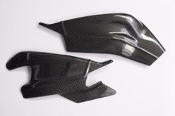 CARB1060  LighTech Carbon Fiber - BMW -  S 1000 RR  '09 - '15 -Swingarm Protector