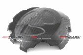 CDT - BMW - S1000RR '15-'16/S1000 R  '14-16  -Carbon Clutch Cover Protection Guard   211118, 211119