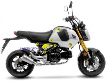 Leo Vince  Exhaust - LV-10 Full System  -  Full Stainless System   Grom RR  22-23     15252