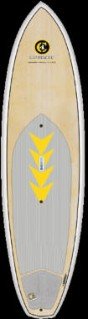 1310   C4 Waterman  Stand Up Paddleboards (SUP)-2014 10’0” SUB VECTOR