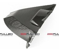 CDT - BMW -S1000 RR '09-'16/S 1000 RR HP4 '13-14 -  Carbon Rear Mudguard - Without Hole  202832, 211059