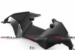 CDT - Ducati- 1199 Panigale R/S '12-'14, 1199 Superleggera '14,  899 '14  -Carbon Air Intake Manifold - Oem  203958, 203959