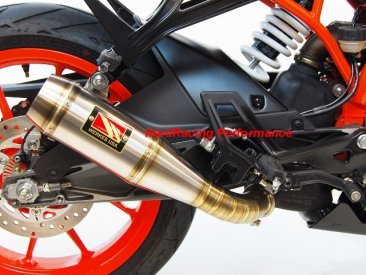 WKT391L WKT392 WKT391D  WERKES USA GP Low Mount Stainless Slip-on Exhaust - 2017-2019 KTM RC 390 & 390 Duke