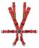 sr20X13Y  SCHROTH PROFI II-Y Race Harness