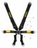 sr91210XUS-0   SCHROTH ENDURO Race Harness