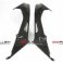 CDT - BMW - S1000 RR '09-'14/S 1000 RR HP4 '13-14- Carbon Tank Fairing - Set  202841, 211068