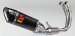 S-A6R3-APLC    Akrapovic Race Line Carbon Full System  - '21-24  RS660