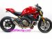 WDMON4   WERKES USA  "GP Style" Slip-ons - Ducati 2014-16 Monster 1200