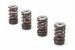 UTV -Holz Brand  RZR Performance Valve Spring Kit for O.E. Head/Valves