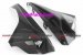 CDT - BMW - S1000RR '15-'16  -Carbon Fairing Covers - OE - Set (364828, 364829)