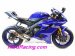 WY610R   WERKES USA GP Race Slip-on - '17-18 Yamaha R6  WY610R